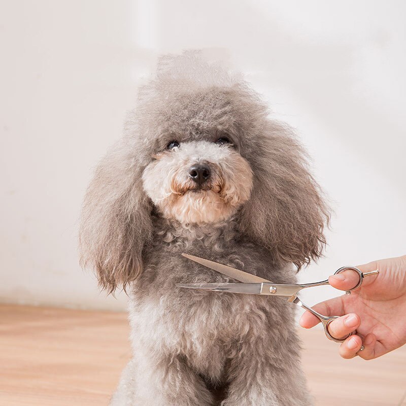 1PC Pet Grooming Scissors Stainless Steel Cats Dogs Hair Seam Scissors Pet Comb Dog Grooming Hair Cutting Tools