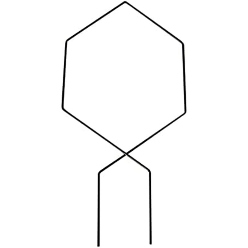 Metal Plant Trellis Support Wire Decorative Plants Climbing Holder Rack for Potted Plants Flowers Indoor PRE: Hexagonal