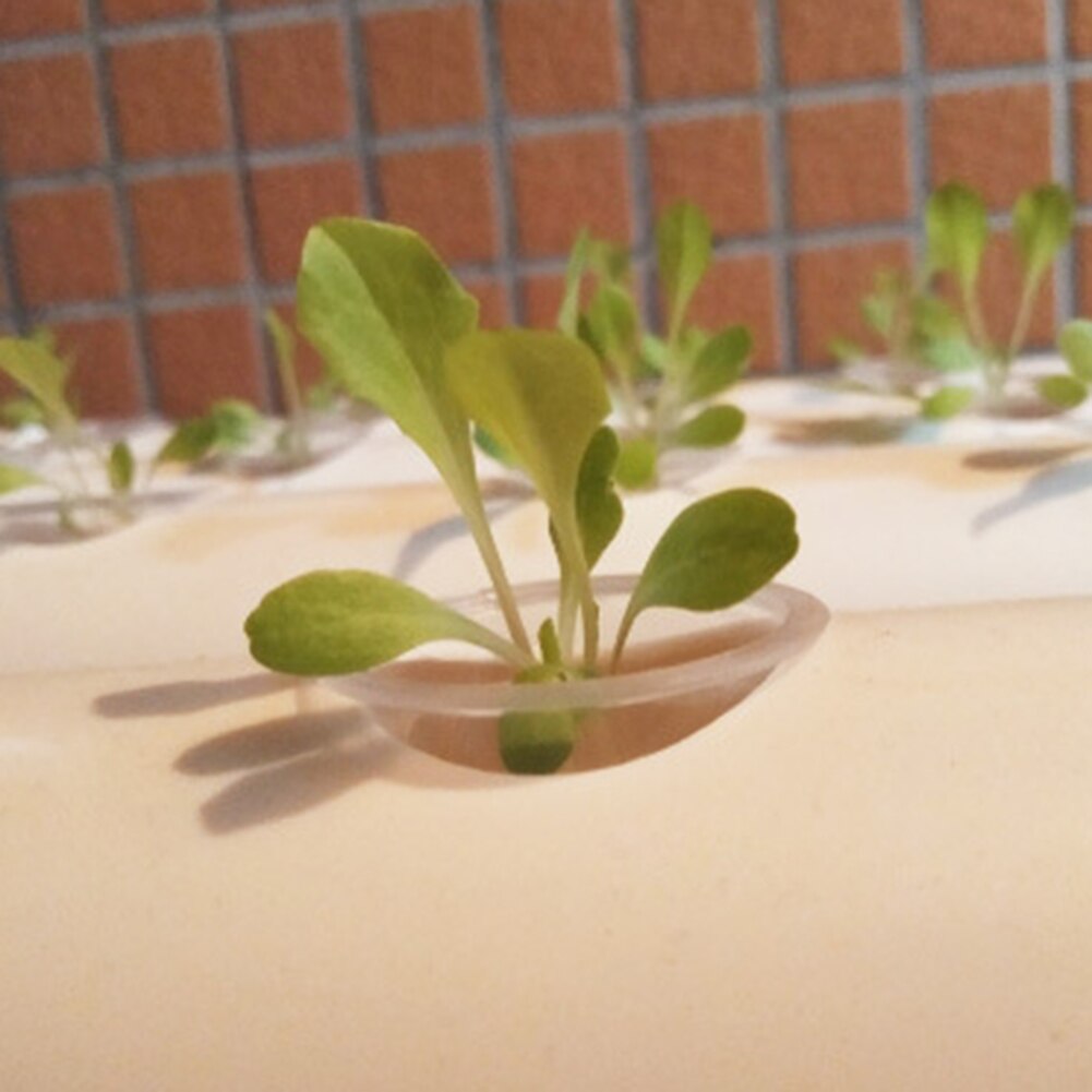 50pcs Hydroponic Colonization Mesh Pot Plant Grow Pots Hydroponic Aeroponic Planting Grow Clone Nursery Plant Soilless Basket