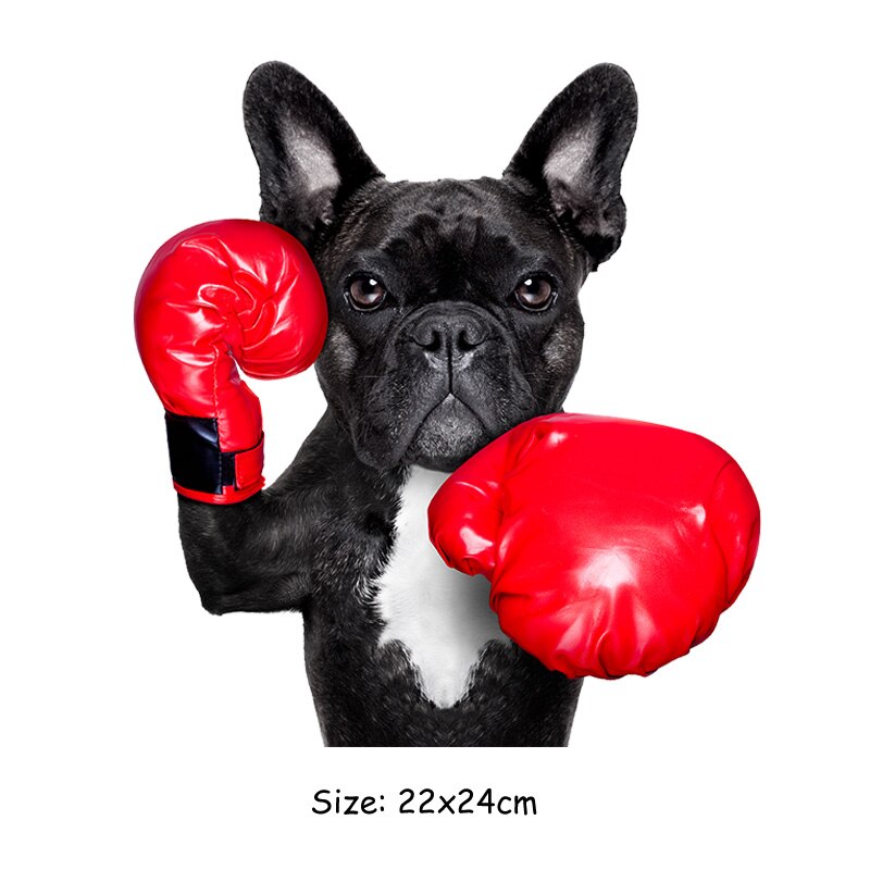Custom Stickers Iron-On Transfer Dog With Boxing Gloves Clothes Heat Transfer Iron On Stickers Diy Accessory Applique Clothes: 22x24cm