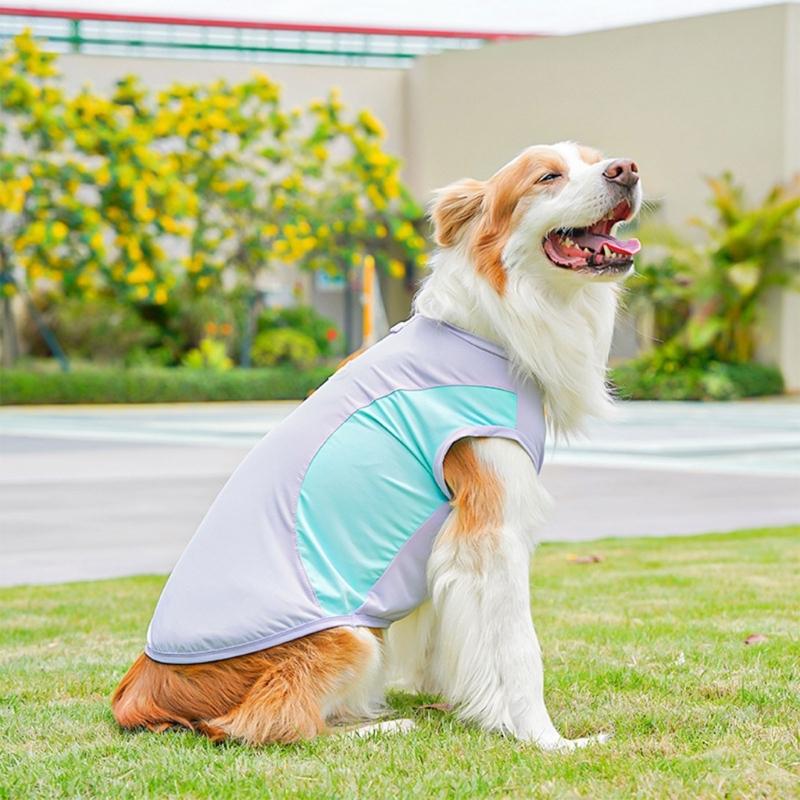 Dog Cooling Vest For Summer Cooling Comfortable Pet Clothing For Outdoor Walking Machine Washable Breathable Polyester 37JD