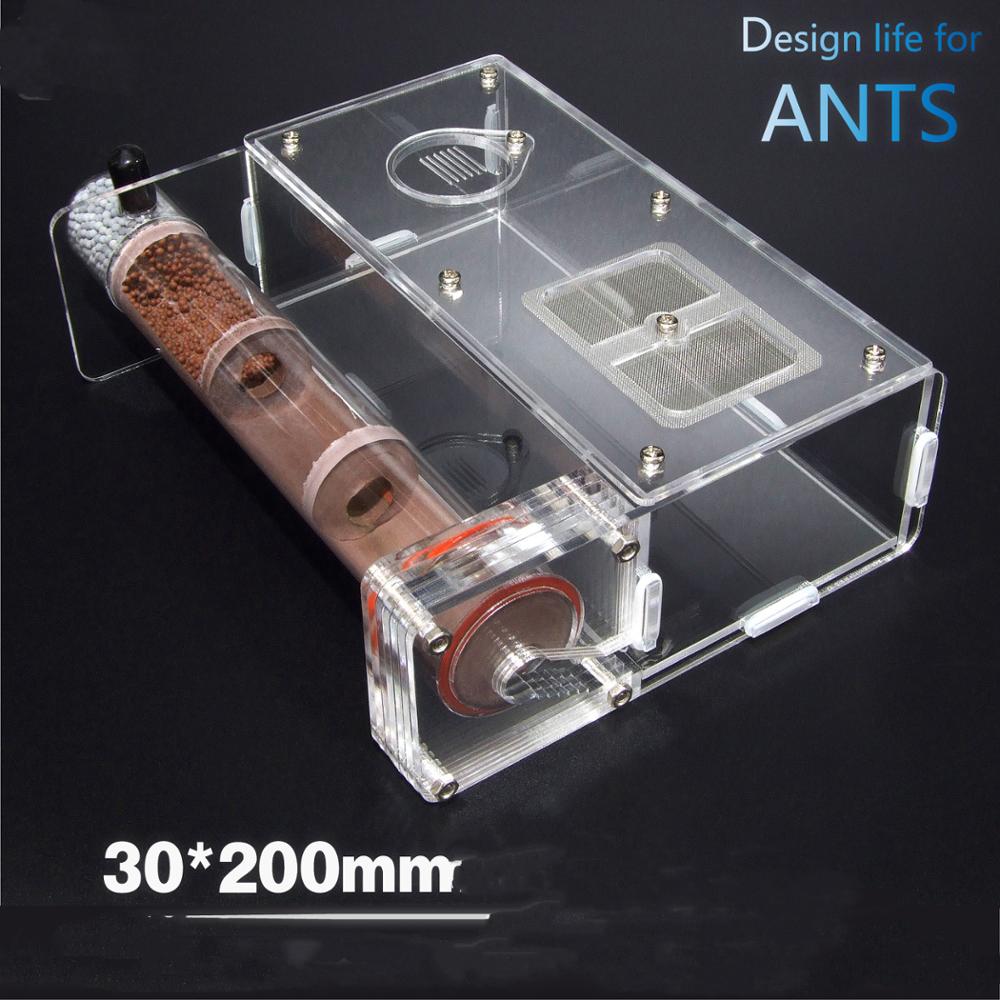 200 x 30mm bambus trækul glasrør myrer reden børn videnskab biologisk klasse abservation legetøj porcelæn sandrør myreture