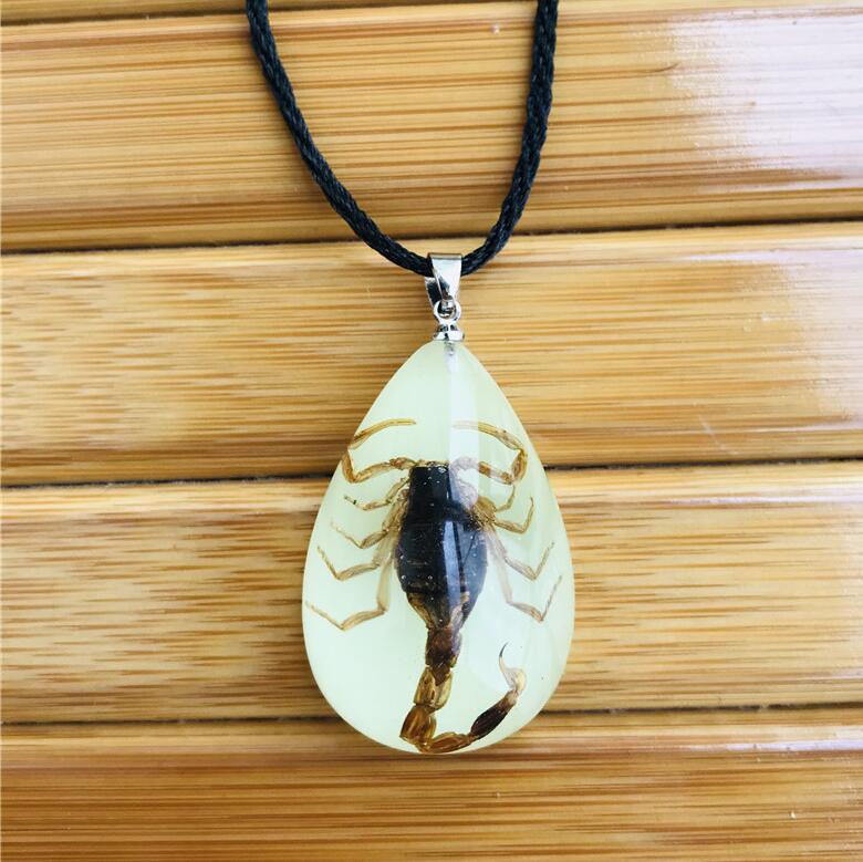 Resin Insect Charms Necklace Luminous Insects Amber Pendant Rope Necklaces Scorpion Ant Stalls Manufacturers: K6301-5