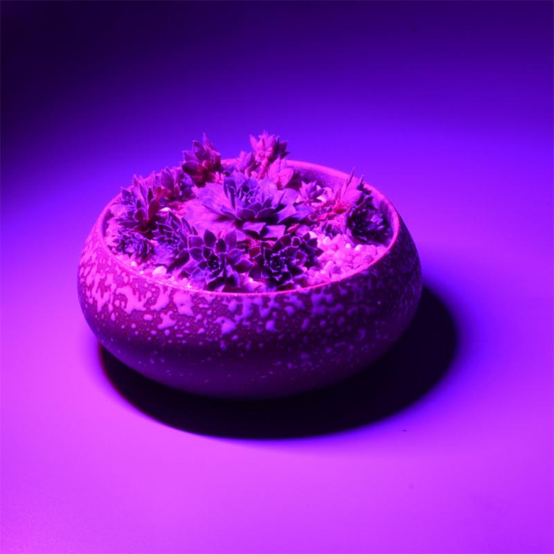 Luce rossa e blu USB LED lampada per la crescita delle piante 5V luci a spettro completo 5V 2.5W 14LED per coltura idroponica pianta da serra coltivazione di fiori