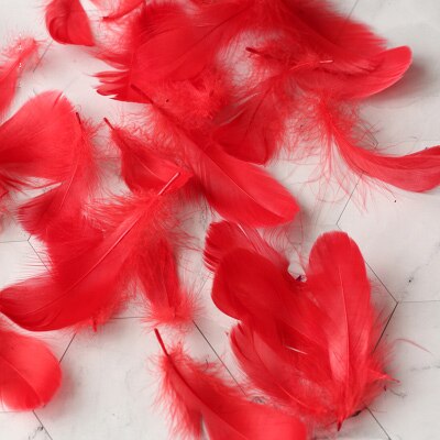 Refining Natural Feather Colourful Small Goose Feathers 3-8cm Photography props for Photo Background DIY Decoration: Red