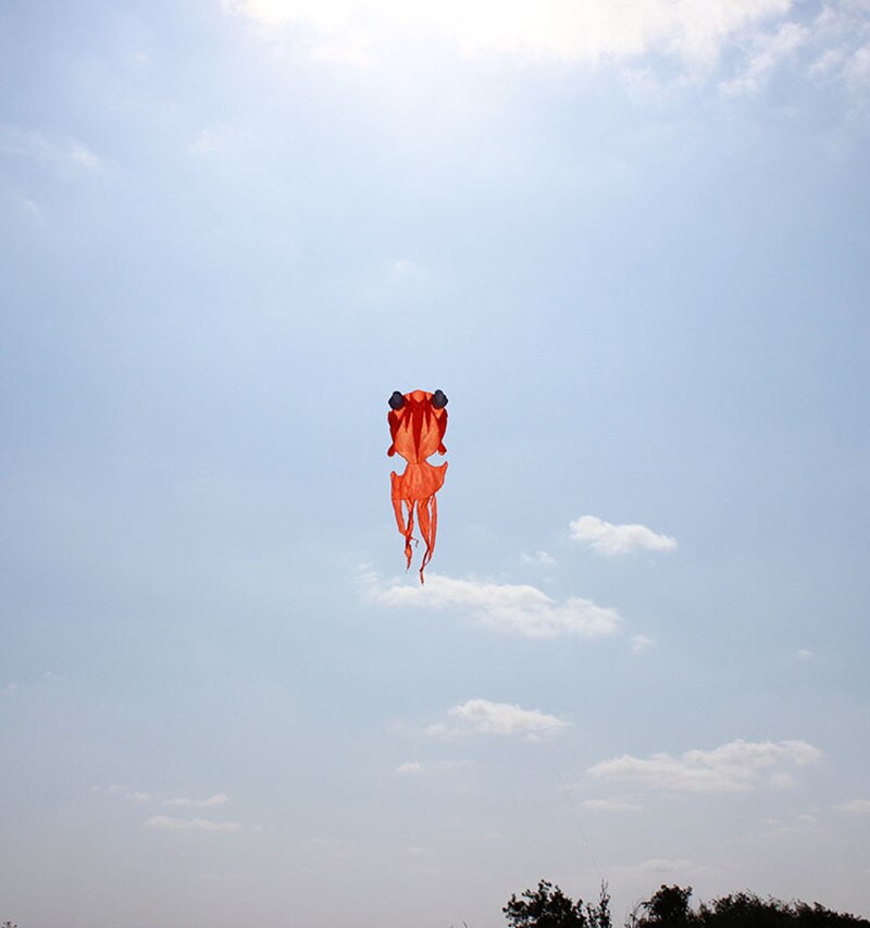 Goldfish Kite - Soft Polyester Animal Kite with Handle & Line - Fun Outdoor Toy for Kids & Adults