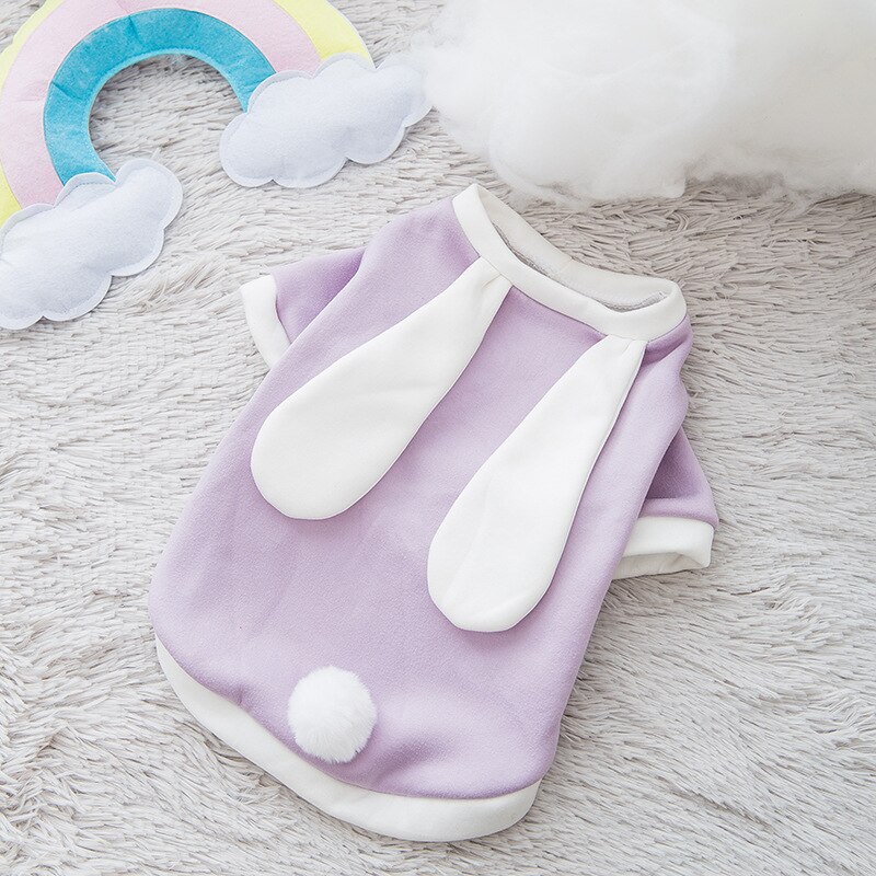 pet clothes cat clothes dog clothes autumn and winter cat and dog sweater cute transform pet clothes
