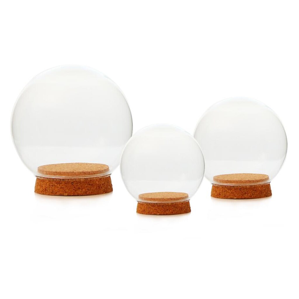 Vidro claro cloche globo display dome com base de madeira secas vaso de flores fada