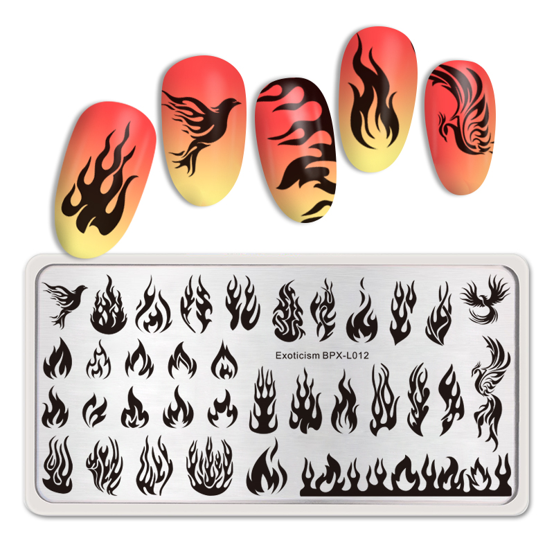 Geboren Pretty Fire Rechthoek Stempelen Template Manicuring Nail Art Afbeeldingsstempel Plate Exotisme BPX-L012: BPX-L012