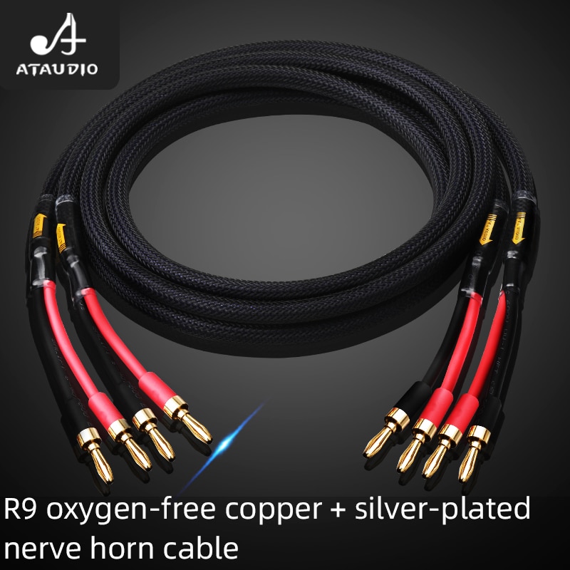 HIFI speaker cable pure copper with silver-plated nerve cable main speaker surround sound cable connection dedicated cable