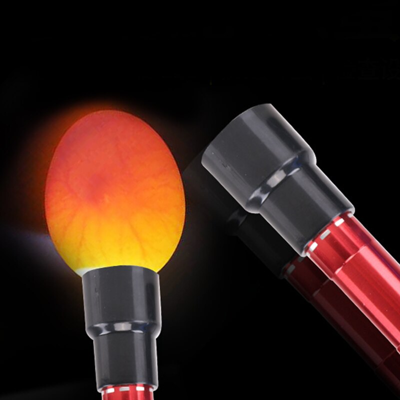 Probador de luz LED fría brillante para huevos, Incubadora de aves de corral de codorniz, Analizador de huevos, herramienta práctica de