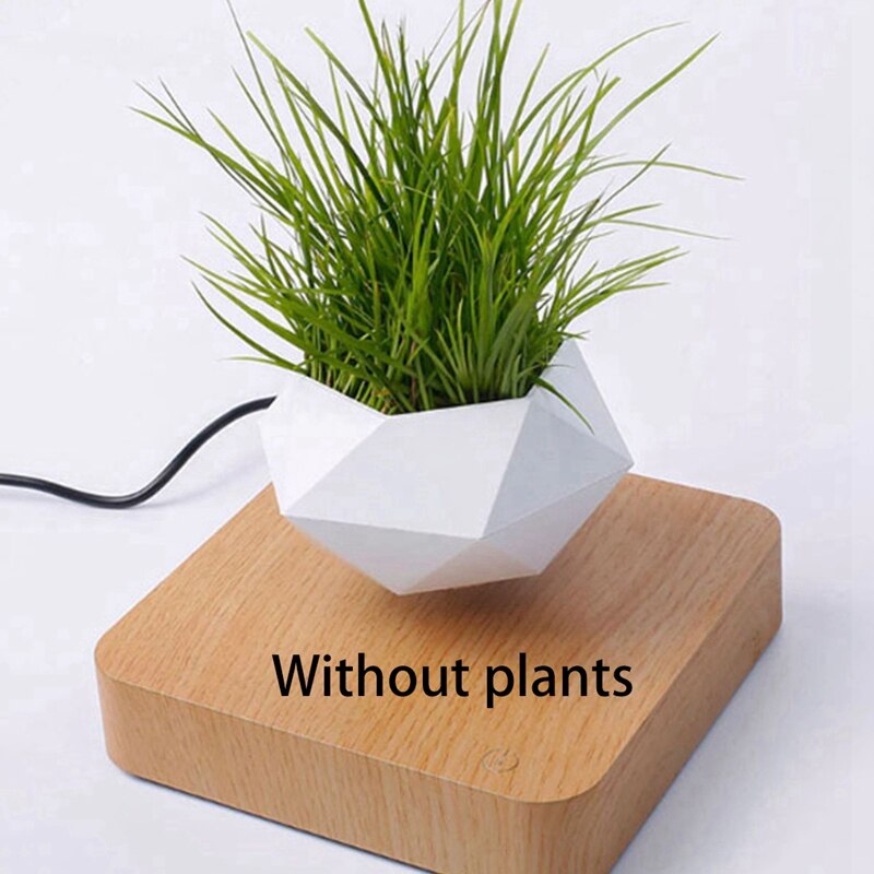 Lévitation magnétique plante planteur Pots succulents plante bureau ornements décor à la maison lévitation d'air bonsaï Pot nous Plug