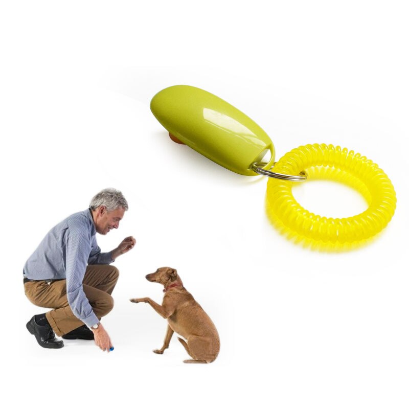 1pc huisdier honden training clicker fluit kleurrijke praktische gehoorzaamheidstraining hulpmiddel gids polsband voor slimme hond huisdierbenodigdheden