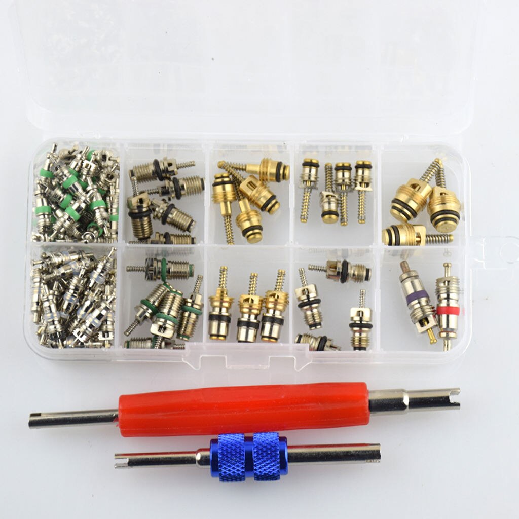 102pcs AC Shrader Valve Core And Disassembly Tool R134 R12 Valves Kit
