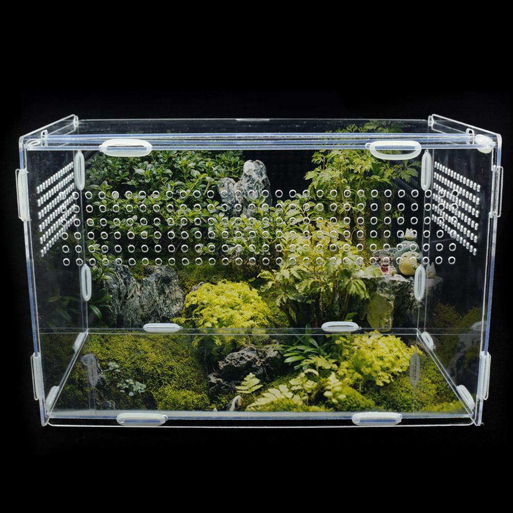 Stor akryl terrarium krybdyr kasse holdbar gennemsigtig kæledyr forsyninger til koldblodede dyr krybdyr kæledyr hjem dekoration – Grandado