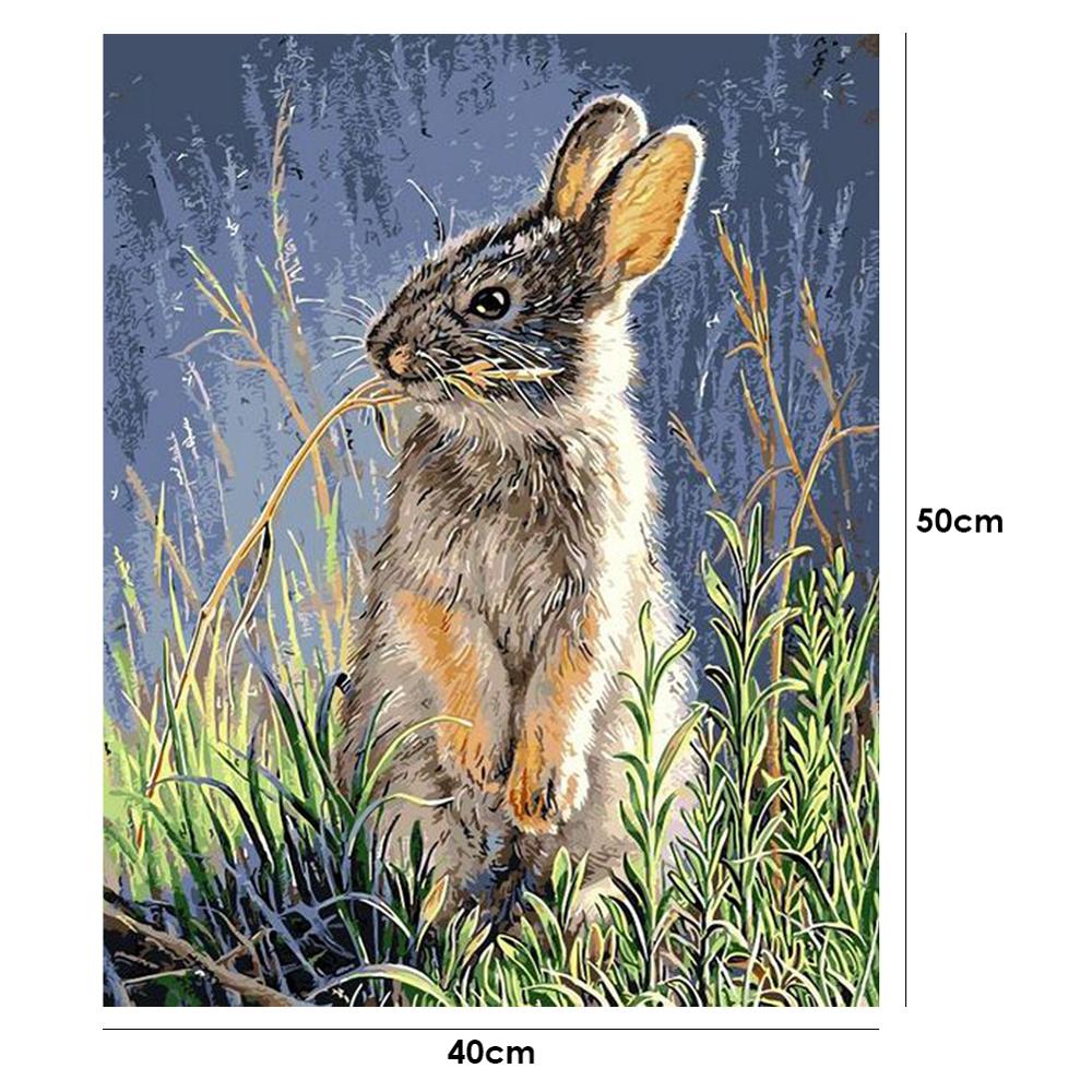 40x50cm Oli peinture par numéros Kit bricolage féroce aigle toile huile Art photo décor à la maison Animal fait main pas de cadre: 08
