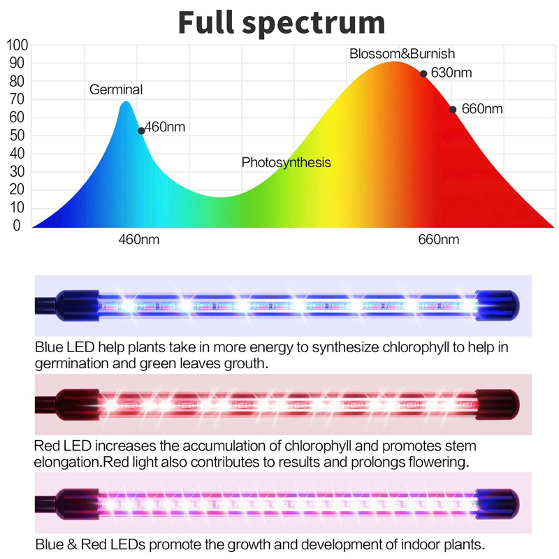 Usb Flood Phyto Led Lampen 5V Full Spectrum Zaailing Groeien Licht Indoor Phytolamp Voor Planten Timer Schijnwerper 45-130Cm Verstelbare