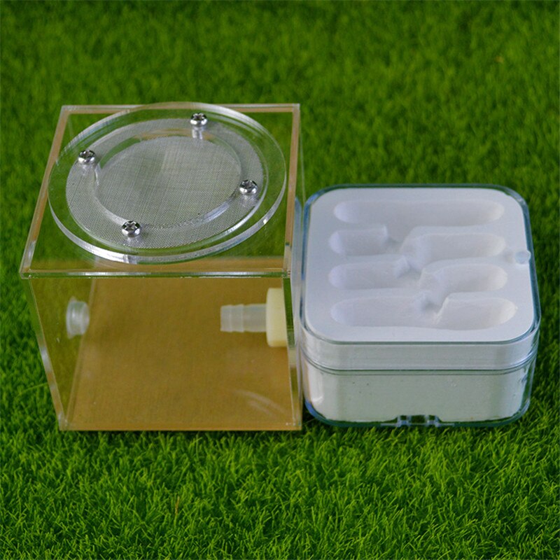 Ant Workshop Ecological acrylic Ant Nest Acrylic Sand Nest Sandcastle Home Living for Ants: type 5