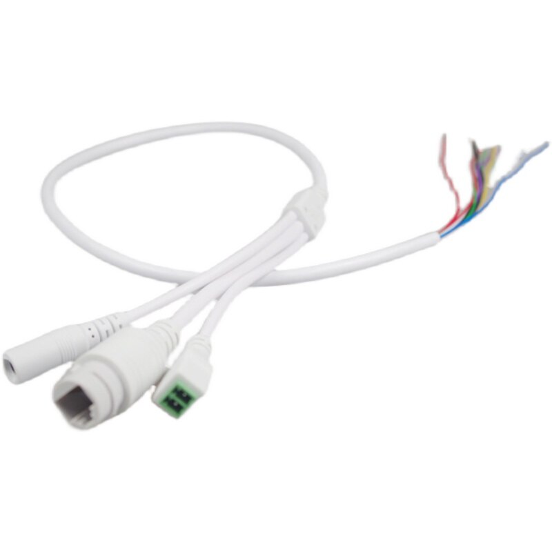 IP Camera Lan Cable 48V POE Lan Cable Jst 1.25mm Connection cable 2P 3P 4P 6P 8P CCTV Camera Accessories: Lan cable with RS485