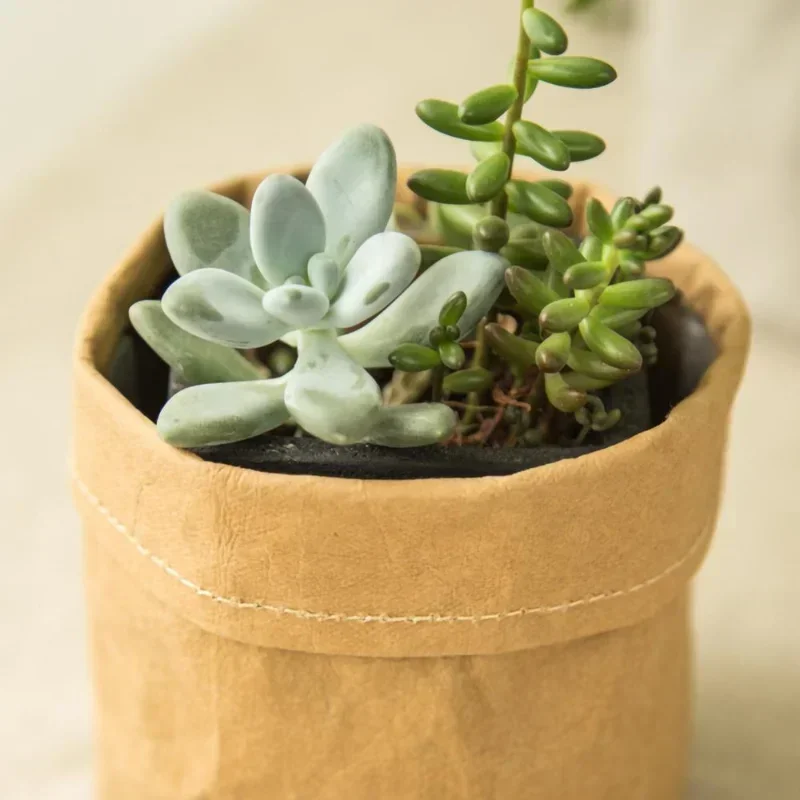 Maceta de papel Kraft lavable de 3 tamaños, macetas creativas de escritorio para flores, macetero de suculentas reutilizable, bolsa de almacenamiento multifunción