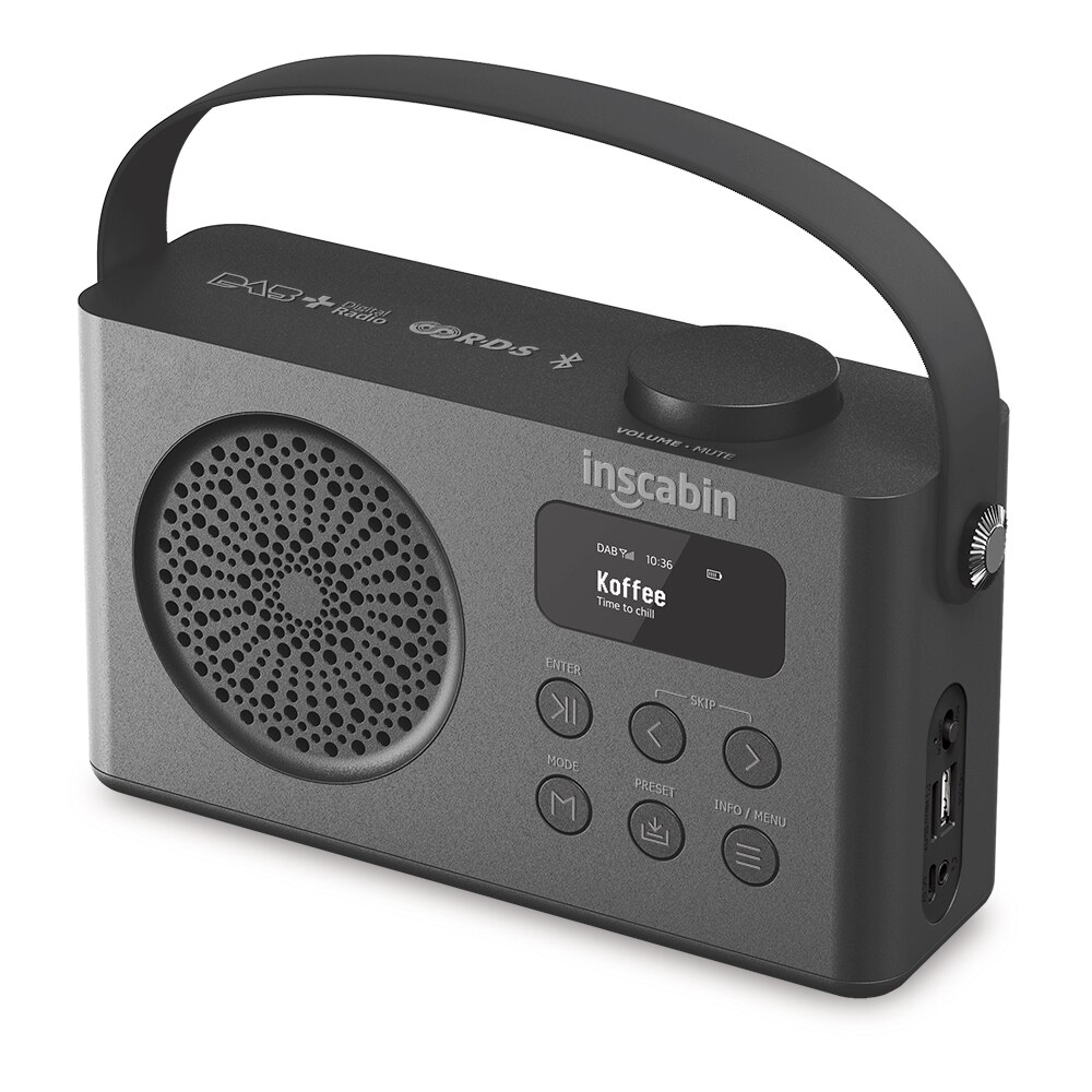 Inscabin P2/P9 Portable DAB/DAB+ FM Digital Radio/Wireless Speaker with Bluetooth/Dual Alarm Clock/Rechargable Battery: P9-Black