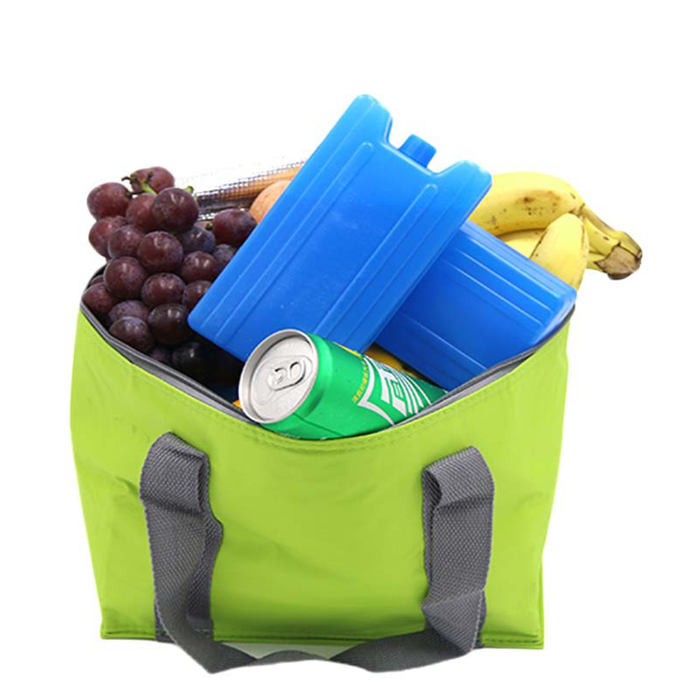 2Pcs Voedsel Opslag Vriezer Picknick Reizen Ijs Blokken Lunch Tas Praktische Blijven Verse Koelbox Camping Draagbare Herbruikbare Fruit