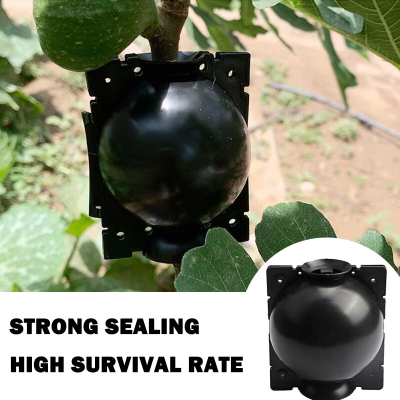 1 stk plante rodkugle podning rodning vækstkasse avlskasse til have 5/8/12cm