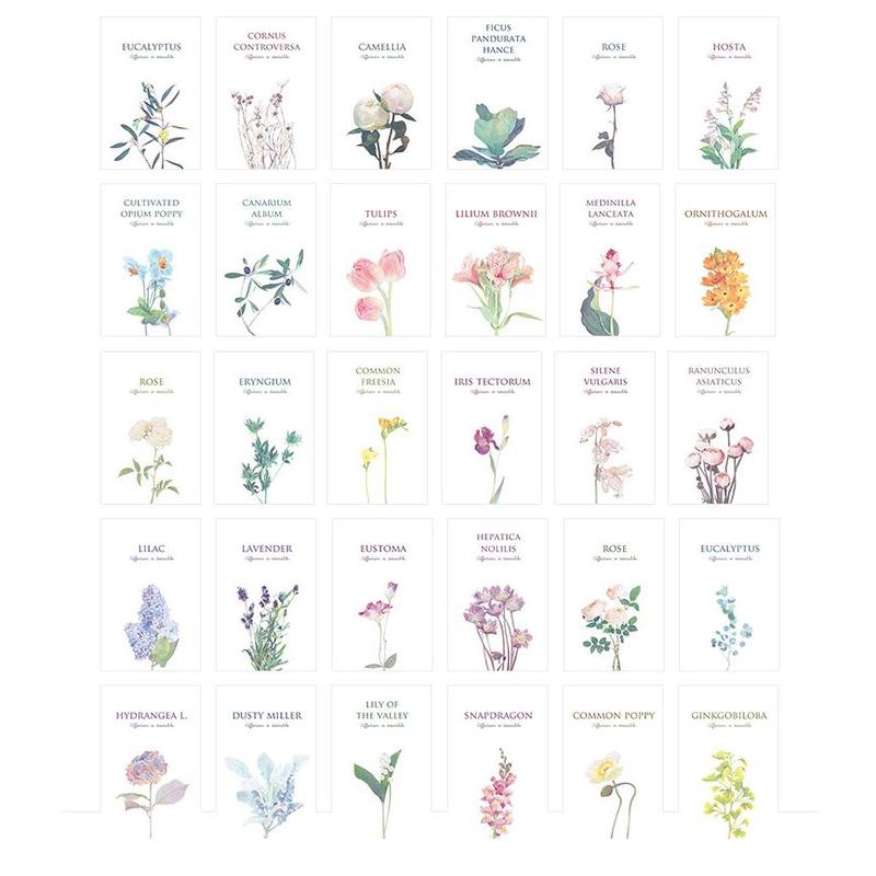 30pcs/set Leaf Plant Flower Note Card Postcard Message Greating Card 14.3x9.3cm