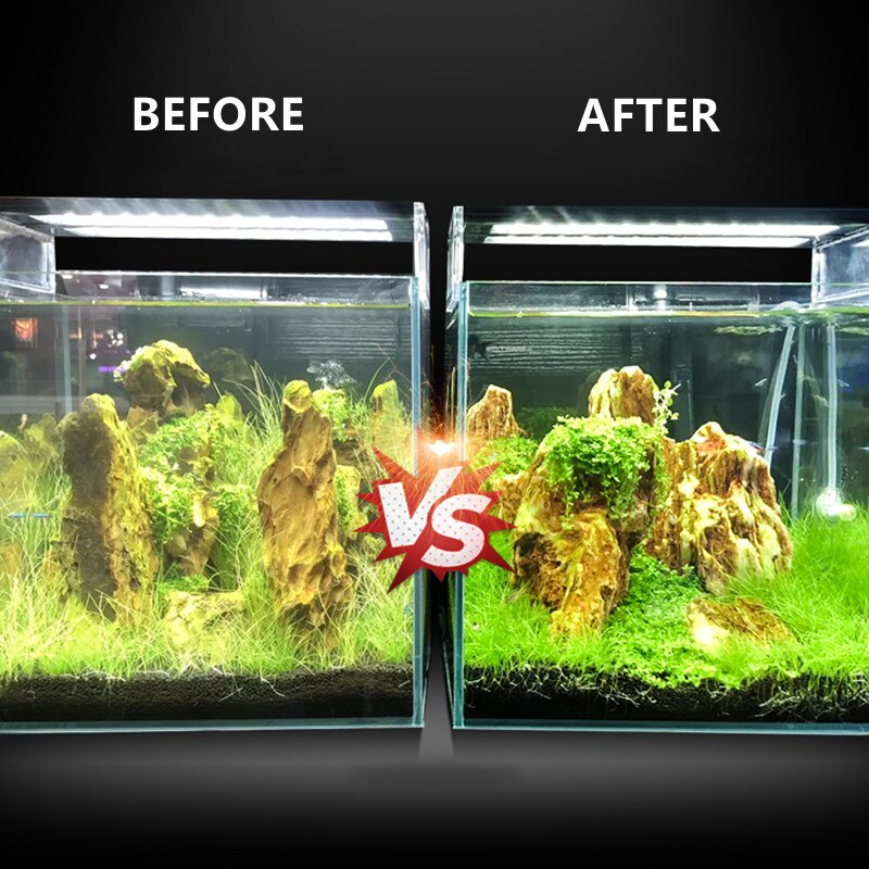Système de générateur de CO2 pour Aquarium, Kit de cylindre en acier inoxydable, générateur de dioxyde de carbone, Kit de plantes d&#39;aquarium