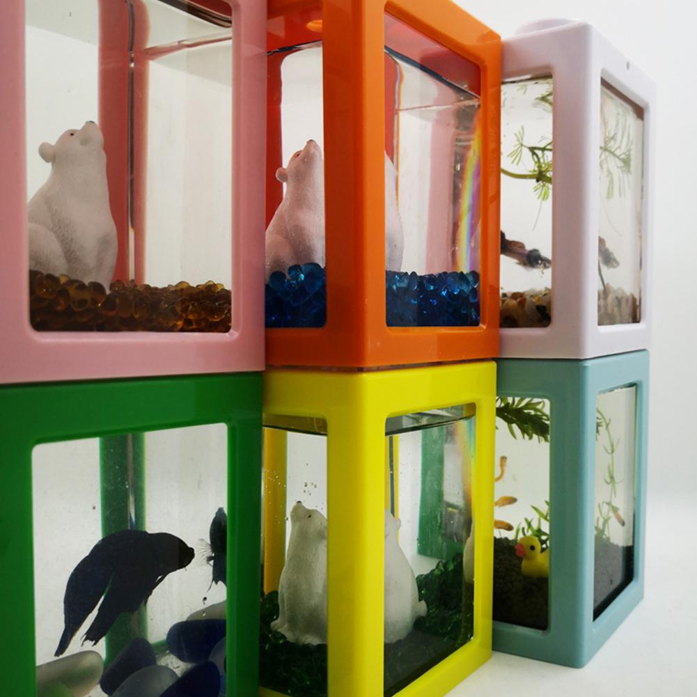 Stable økologiske spand akvarium algekugle edderkop boks lille mini krybdyr række cylinder