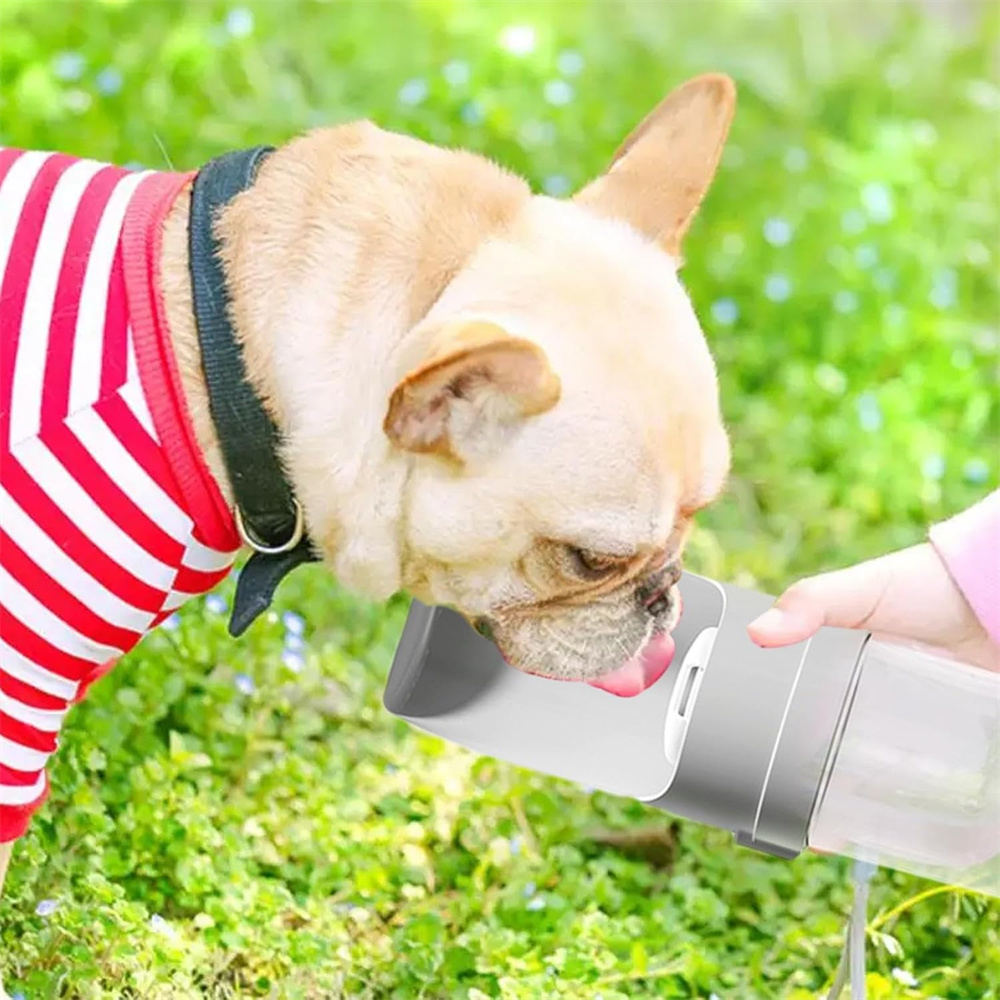 Borraccia per cani e gatti, ciotola per l'acqua, contenitore da viaggio anti-perdita per cuccioli, ideale per Mops, Chihuahua, Labrador