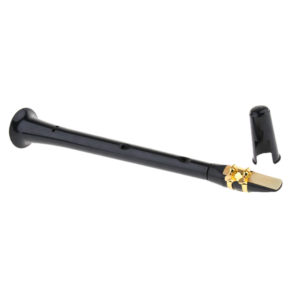 Draagbare C Key Saxofoon Mini Sax Met Draagtas Voor Beginners Studenten