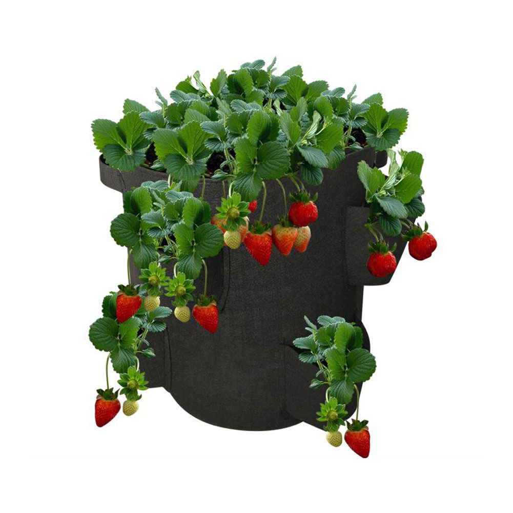 Worki robić uprawy truskawek 40l 10 galonów oddychające torby roślinne robić warzyw kwiatowych warzywa pomidorowe narzędzia robić sadzenia pojemnik ogrodnictwo