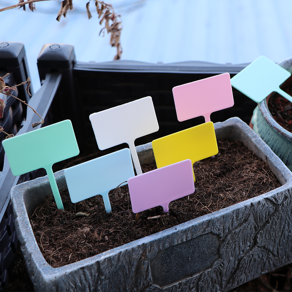 100 Etichette per Piante in Plastica Verde, Supporti per Identificazione Piante da Giardino e Vaso