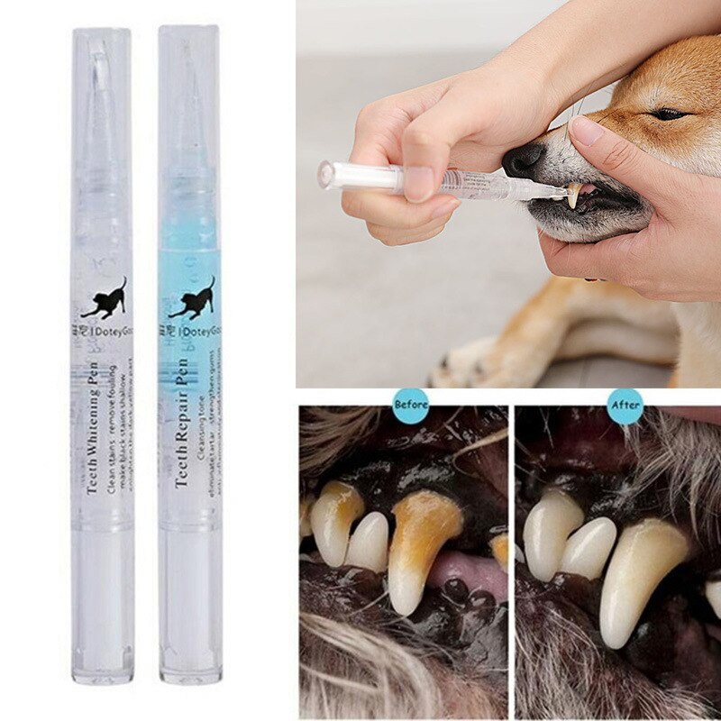 Pets Teeth Cleaning Tool Dogs Cats Tartar Remover Stones Scraper Plastic Cleaning Pen Cleaning Tools
