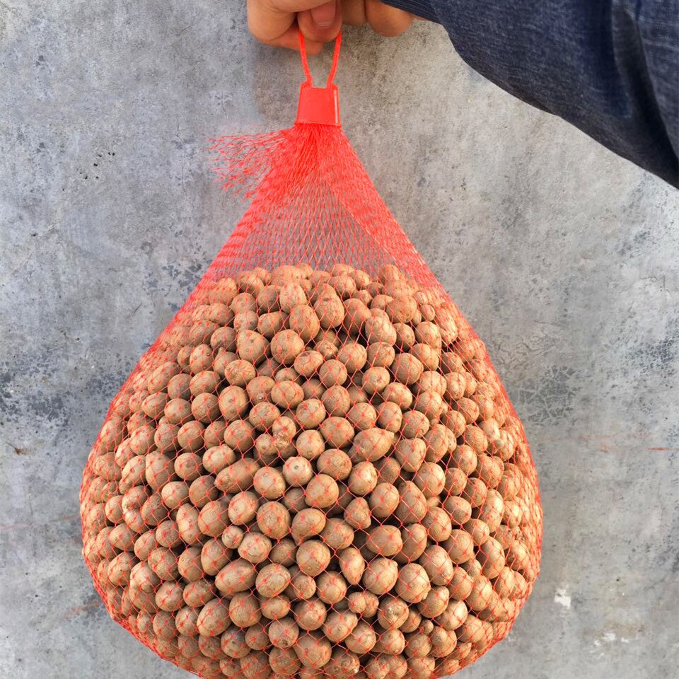 100 Uds de plástico bolsas de malla red bolsa de embalaje de alimentos con hebillas reutilizable para fruta vegetal huevo loco juguetes organizador de almacenamiento hogareño