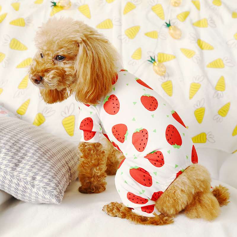 Vêtements pour petit chien vêtements pour animal de compagnie manteau Plaid coton vêtements pour animaux de compagnie sweats à capuche Chihuahua animaux chiens vêtements pyjamas Costume: Strawberry design / XS