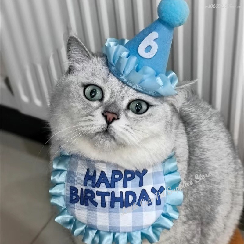 Gato aniversário cachecol chapéu conjunto cão festa de aniversário suprimentos cachecol para animais de estimação bonito filhote de cachorro chapéu de aniversário cachecol decoração para animais de estimação pequenos e médios