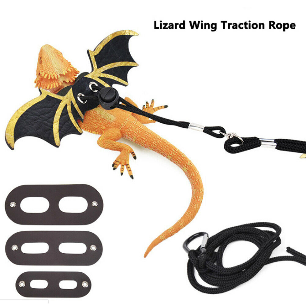 Grootste leverancier Verstelbare Hagedis Baardagaam Reptiel Critter Leash Harness Wings voor S/M/L/