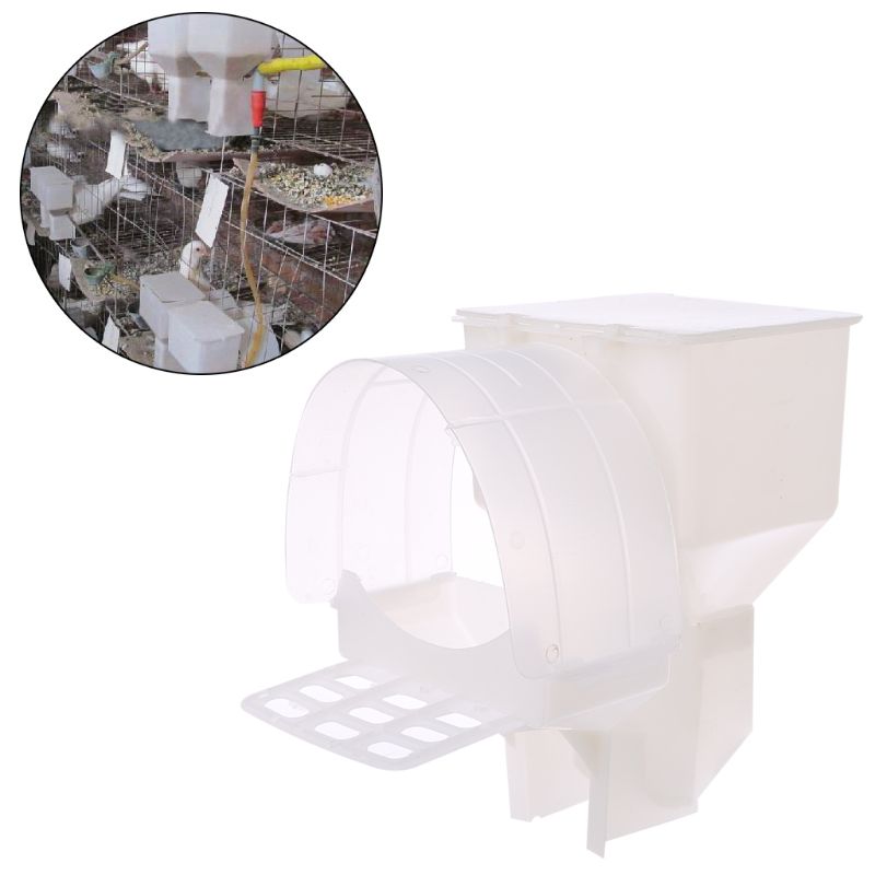 Pigeon Feeder Automatic Single Hole Feeding Case Birds Parrot Food Dispenser Device Box Plastic Food Container