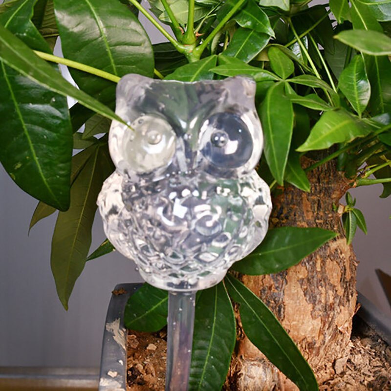 Pvc/glas självbevattningsanordningar växt blommor vattnare fågelstjärna hjärta vattenmatare automatisk vattning för inomhusträdgård: Pvc uggla
