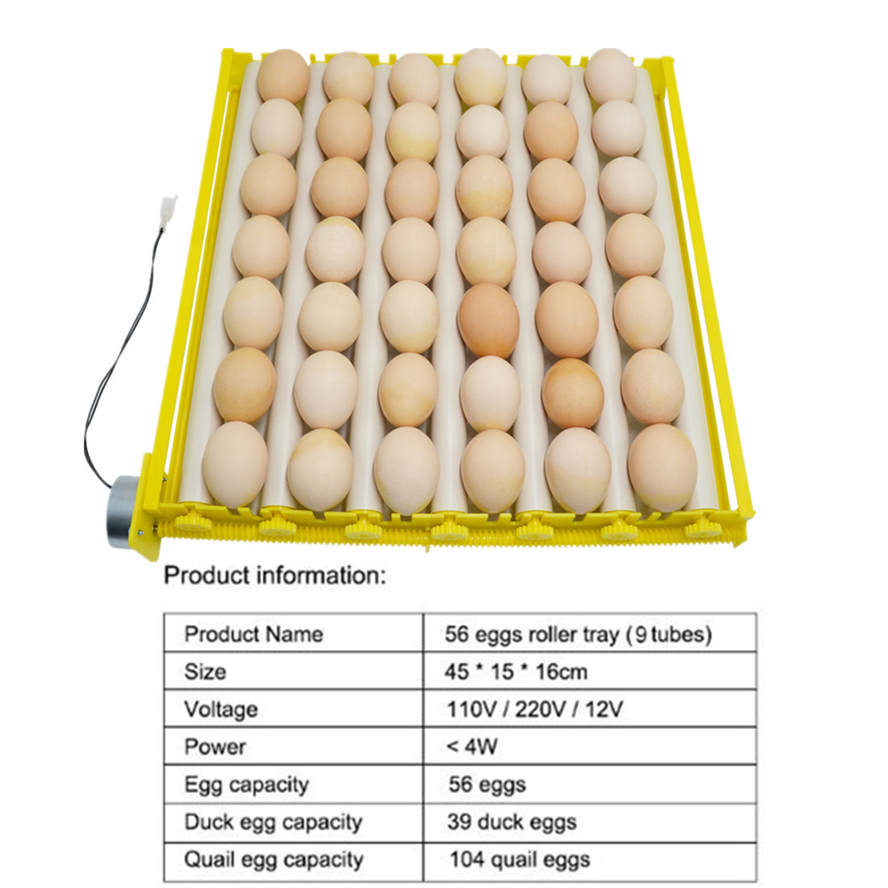 Automatic Egg Incubator Capacity 156/154/56/42/9 Duck Chicken Plastic Egg Tray Incubator Trays Hatching with Auto Turn Motor: Red