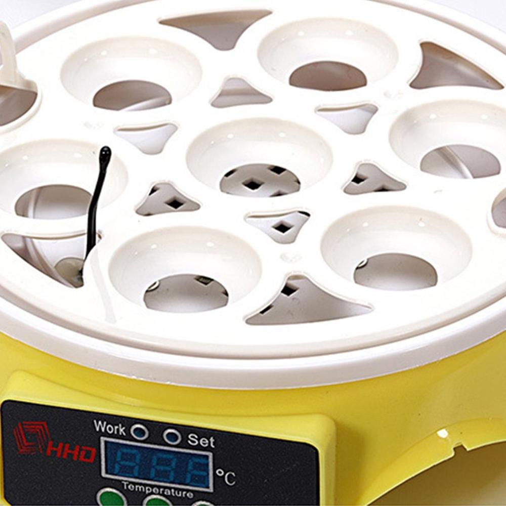 7 Eggs Incubator Poultry Brooder Small Equipment Farm Poultry Household Hatching Goose Quail Chicken Hatcher Machine