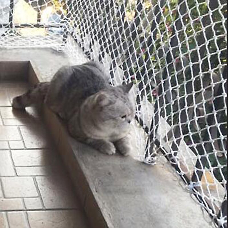 enfants bébé enfants animaux sécurité garde balcon – Grandado