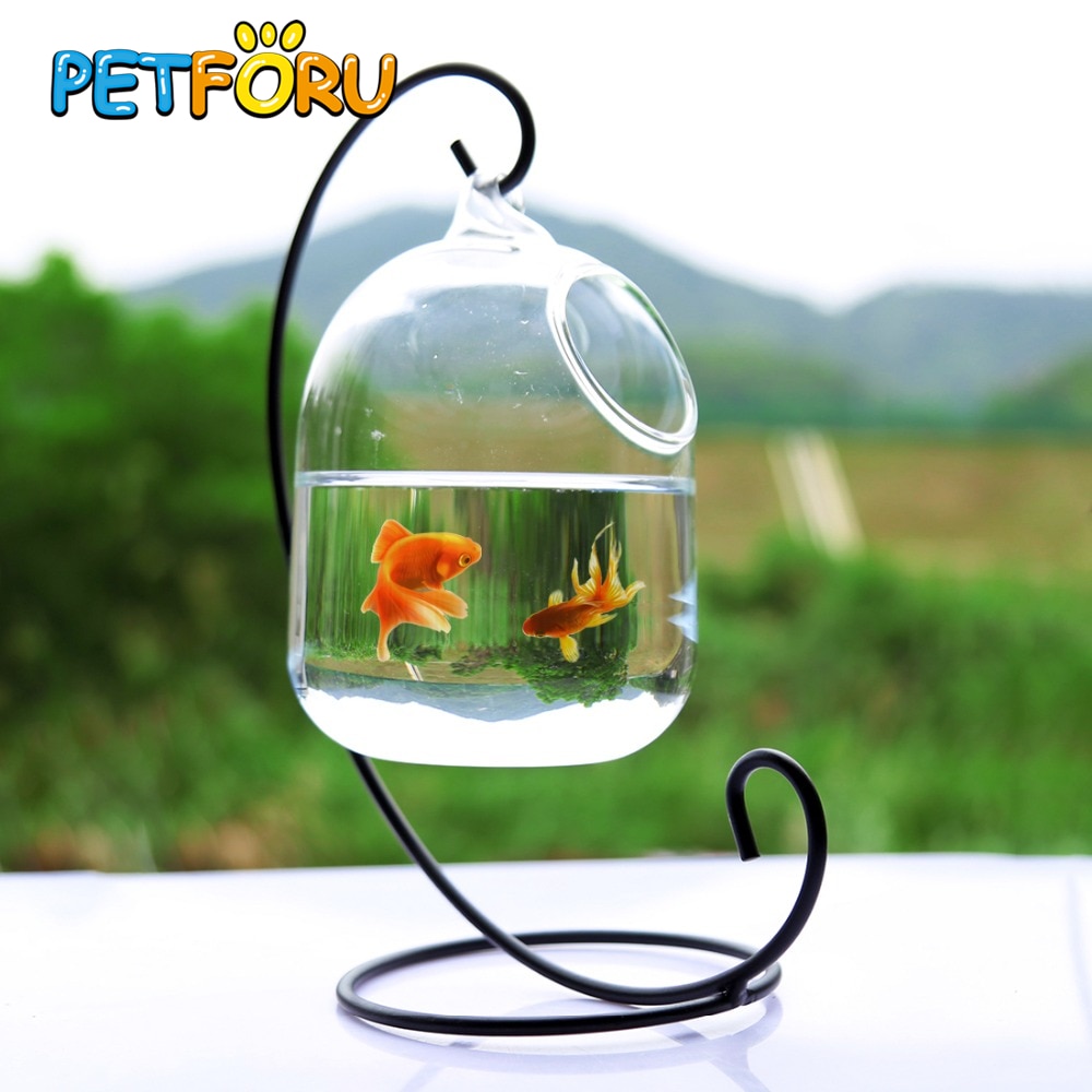 Klar PETFORU 15cm Höhe Hängen Glas Aquarium Fisch Schüssel Fisch Tank Blume Pflanze Vase mit 23cm Höhe Weiß rack Fishbowls