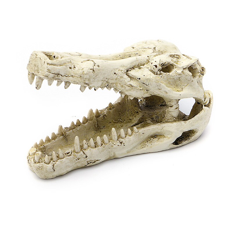 Crocodile Skull Artificial Decor Ornament Decoration for Aquarium Tank Fish 5" good: Default Title