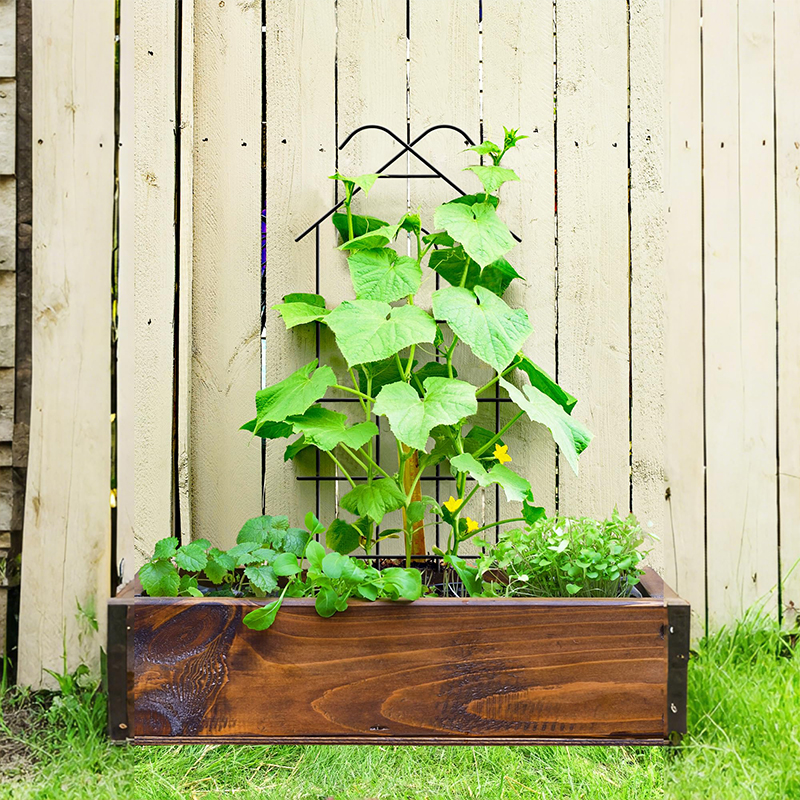 Plantensteun Balkonaccessoires Standaard voor bloemen Tuinlatwerk Tuingereedschap Benodigdheden Zaailingen Klimgerei Planten