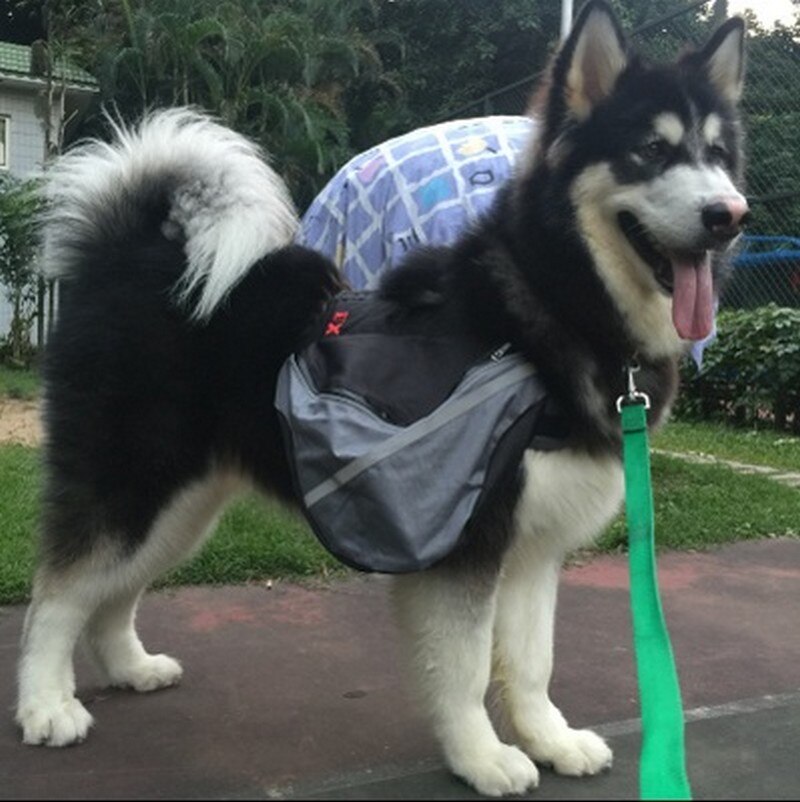 Hund Sattel Rucksack Reflektierende Tasche Sicherheit bei Nacht Mittel groß groß Hund Pack Tasche draussen Wandern Camping Ausbildung Haustier Träger TC