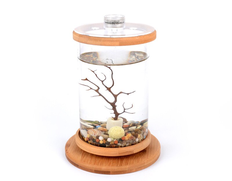 360 grad Rotierenden Glas Betta Fisch Panzer Bambus Basis Mini Aquarium Dekoration Drehen Fisch Schüssel Aquarium Büro Zubehör: B
