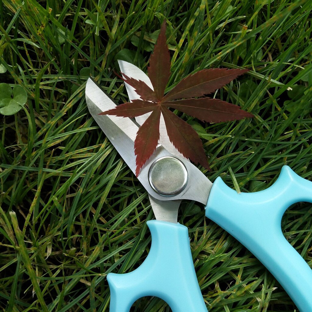 Floral garden shears stainless steel color garden flower pruning shears flower arrangement shears машинка для стрижки 50*